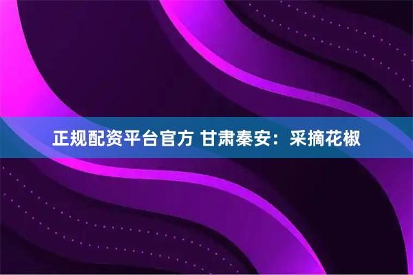 正规配资平台官方 甘肃秦安：采摘花椒